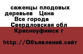 саженцы плодовых деревьев › Цена ­ 6 080 - Все города  »    . Свердловская обл.,Красноуфимск г.